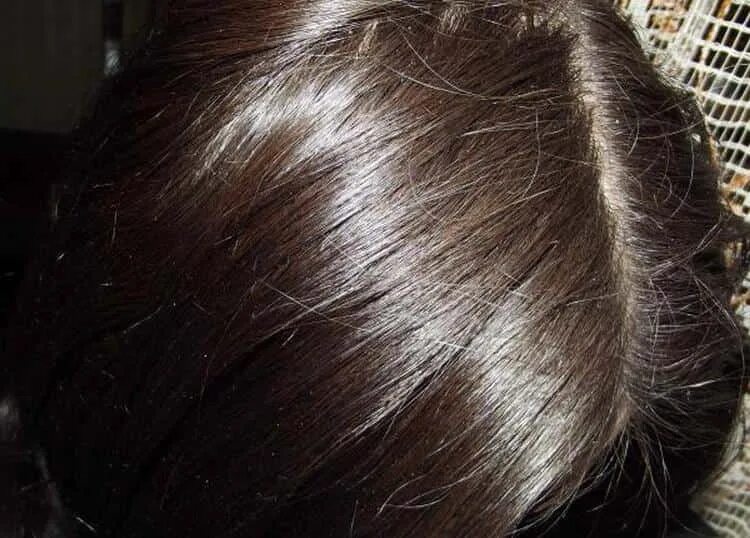 007. фрезы дисковые зуборезные модульные м4. фреза модульная для нарезки зубчатых колес модуль м 6 3. 50 калибр винтовка патрон. вычислить 0,4(2)-0,3(0,7).