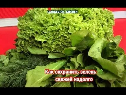Как сохранить салат листовой свежим