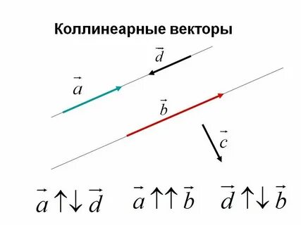 Какие векторы являются коллинеарными