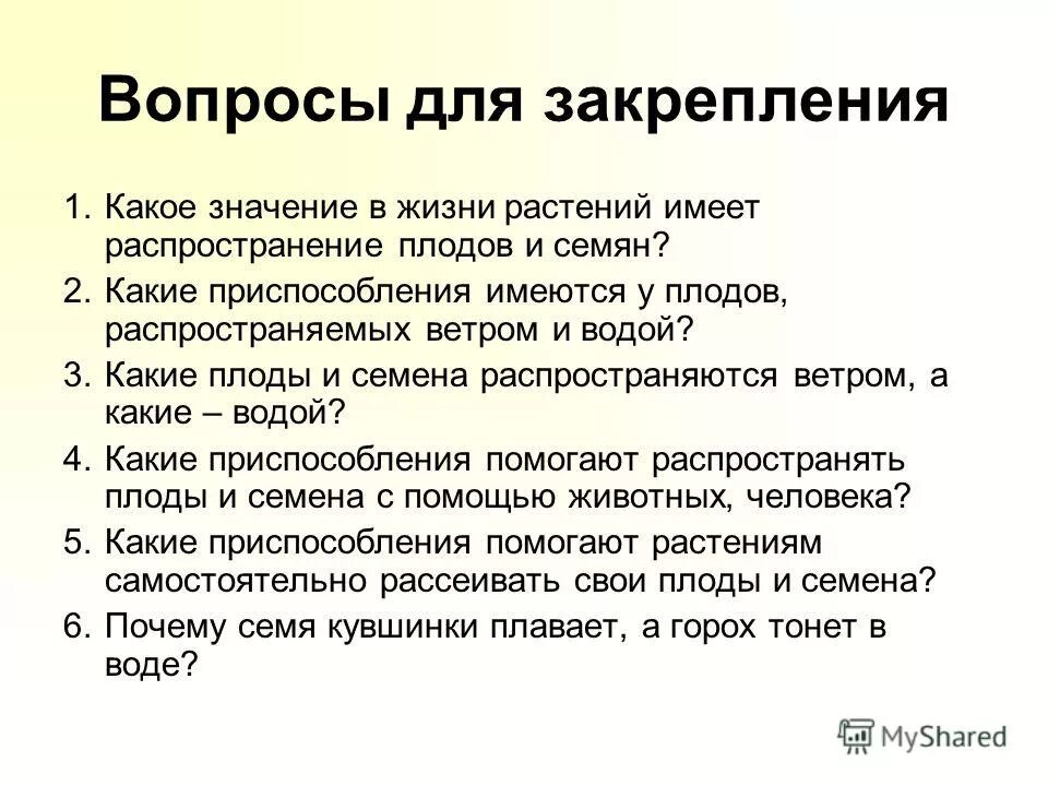 Какое значение имело распространение. Вопросы для закрепления. какое значение имеет распространение в жизни растения. какое значение в жизни растения имеет распространение его семян. примеры вопросов для закрепления лекции.