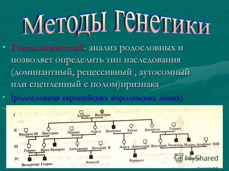 Метод изучения генетики основанный на анализе родословной. Генеалогический анализ. Генетический анализ родословных.. Родословная генетика. Генеалогический анализ родословной.