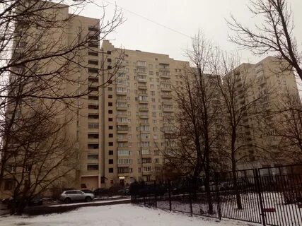 Колпино 42
