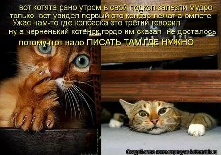 Гости опять