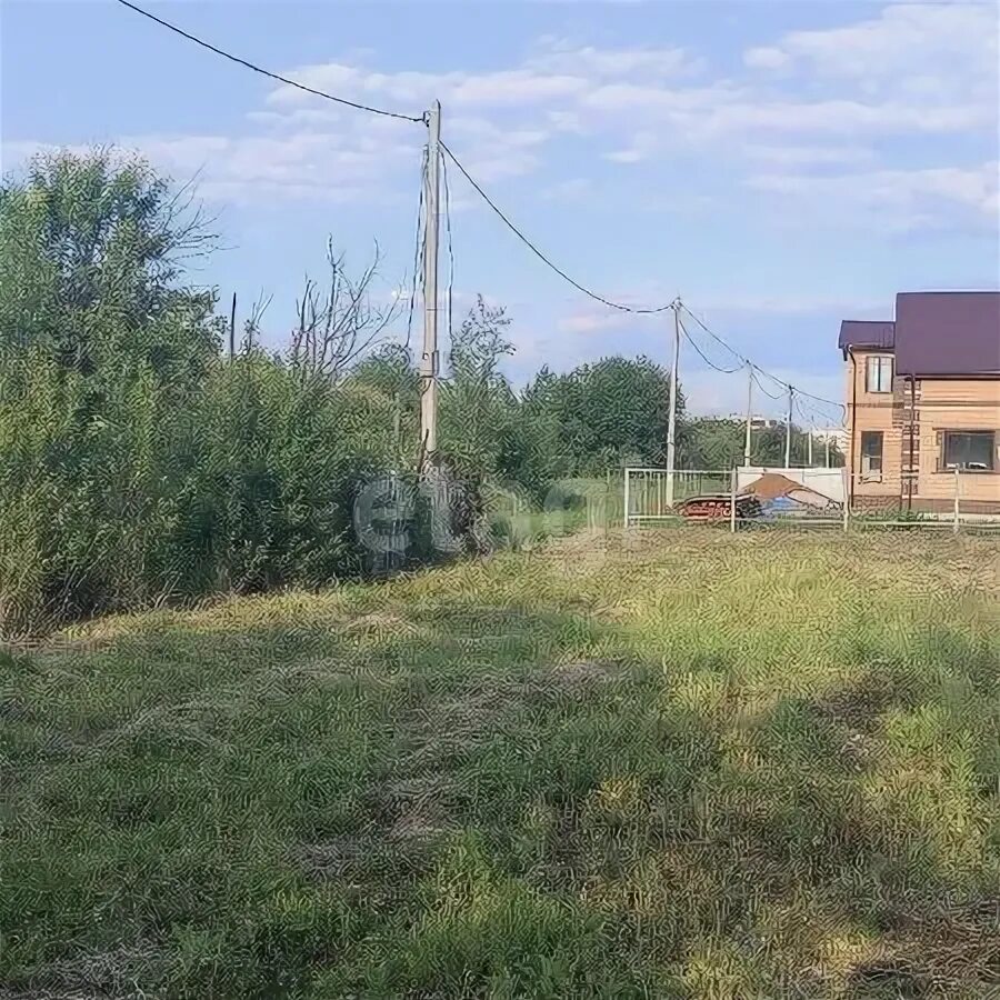 Снт зеленая падь. Снт зеленый берег фото. Дачный кооператив. Снт зеленый друг. Снт зеленое поле.
