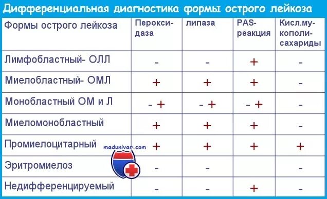 Дифференциальная диагностика острых лейкозов таблица. Дифференциальный диагноз лейкозов. Диагностика острых и хронических лейкозов. Классификация острых лейкозов. Острый лейкоз дифференциальный диагноз.