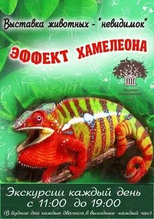 Хамелеон рекламное