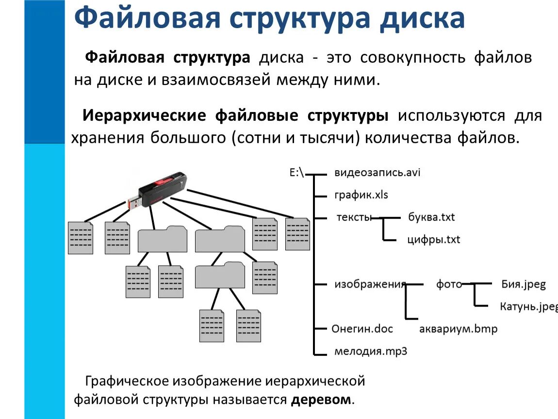 Организация данных на носителе. Иерархическая файловая структура Информатика 7 класс. Иерархическая файловая структура диска. Информатика 7 класс файлы и файловые структуры. Программа которая создает файловую структуру на дисках.