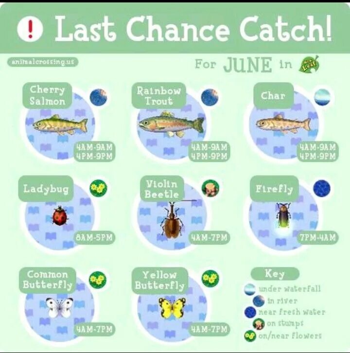One more week to go
