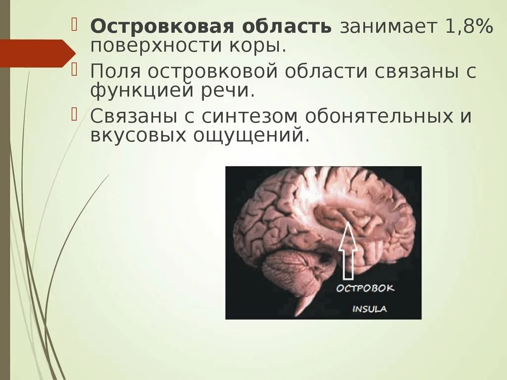 Поражения корково мозга