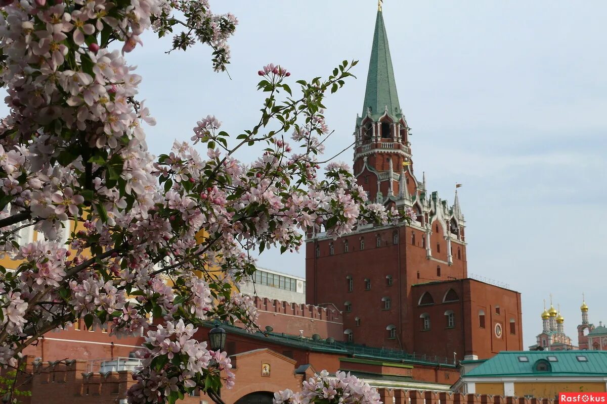 май в москве. ф. москва майская. май в москве фото. май в москве фото.