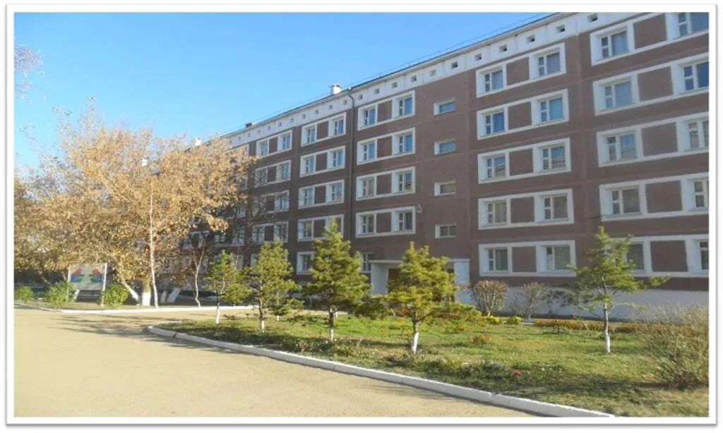 высший медицинский колледж. кмк колледж. кокшетауский медицинский колледж. эмблема медицинского колледжа. институт г.