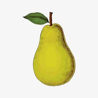 Картинки груши нарисовать