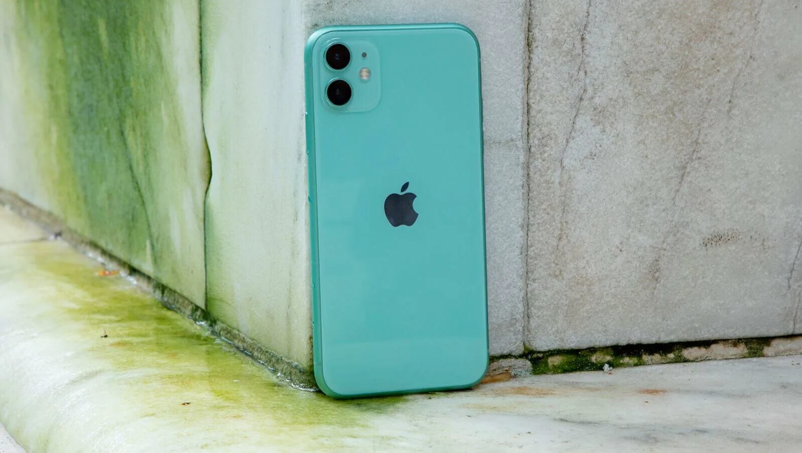 Айфон 11 нету. Iphone 11 Green. Apple iphone 11 64gb зеленый. Iphone 11 Green 128. Iphone 11 мятный.