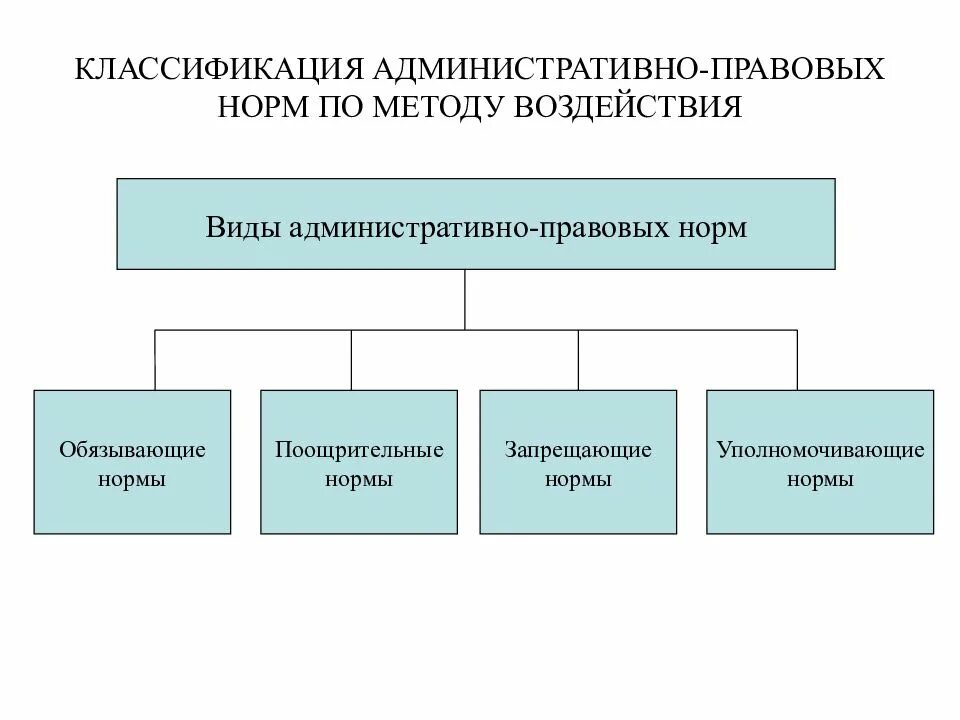 Назовите административные формы