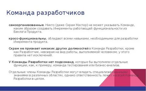 Состав разработчиков проекта