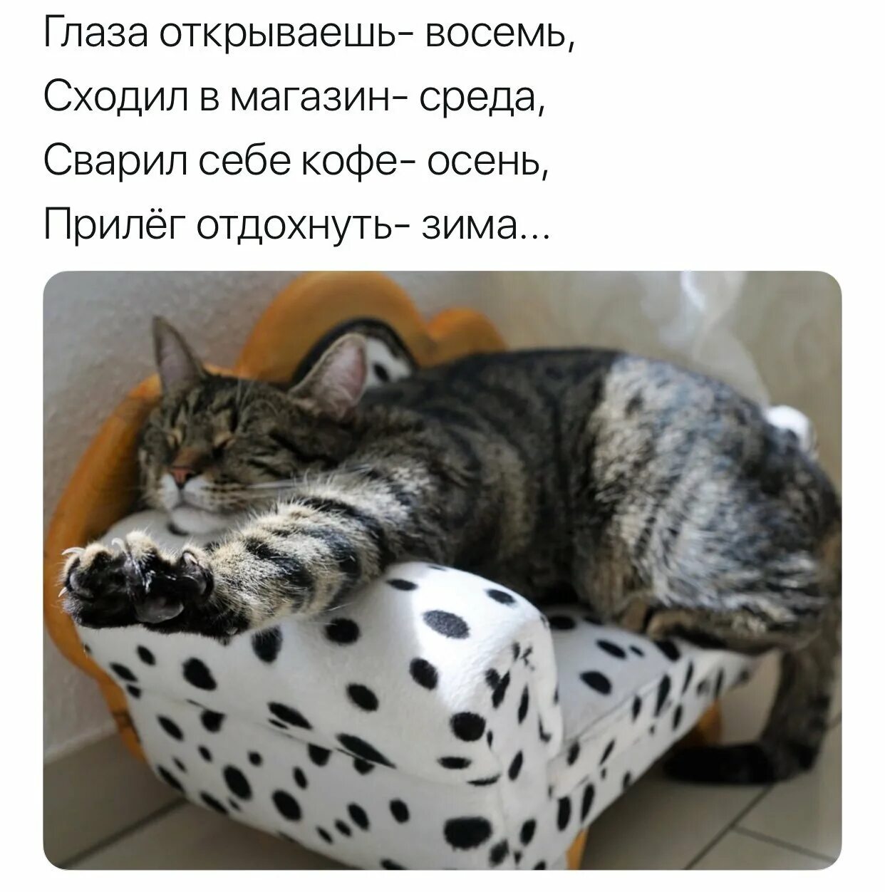 Доброе утро воскресенья прикольные смешные с надписью. Доброго воскресенья. открытки с воскресеньем прикольные. с воскресным утром юмор. воскресенье передай понедельнику.