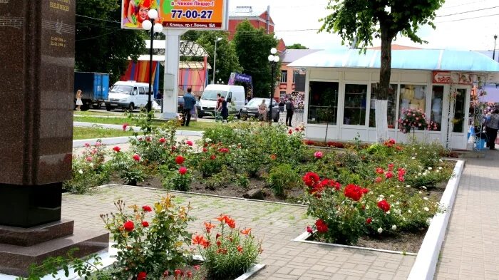 Клумбы города Жуковка Брянской. Тюльпаны в городе Жуковка Брянской области. Цветники города Клинцы. Жуковка Брянская область памятники. Цветочный курганинск