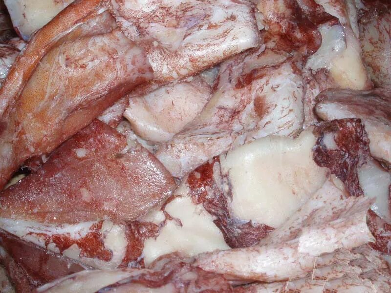 Кальмар очищенный, без плавника, без кожи - Морепродукты и рыба - купить с доста