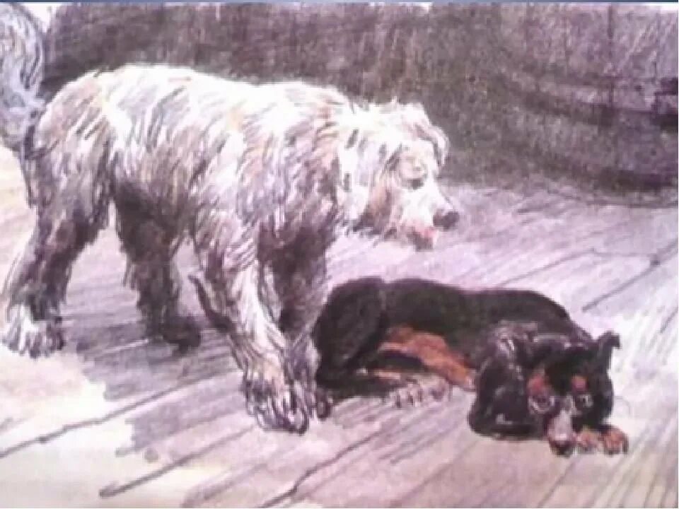 Барбос и жулька слушать в сокращении. Куприн барбос и жулька. барбос куприн. жулька куприн. куприн для детей барбос и жулька.
