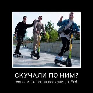 Самокаты можно оставлять в любом месте