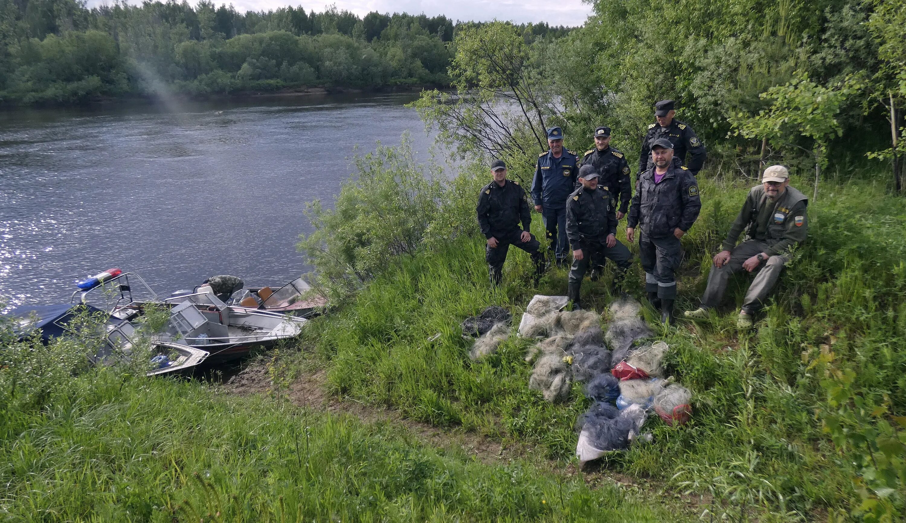 Департамент природных ресурсов Костромской области. Карась период нереста.