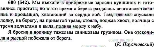 Русский язык 6 класс номер 600. Мы въехали в прибрежные заросли. Мы въехали в прибрежные заросли кувшинок и готовились текст. Опускался вечер через прибрежные заросли ответы