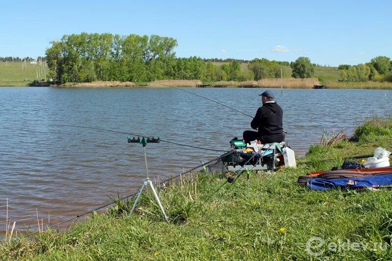 Рыболовный кутузова. Платная рыбалка. Рыболовный кутузова. Рыболовный кутузова. Рыболовный кутузова.