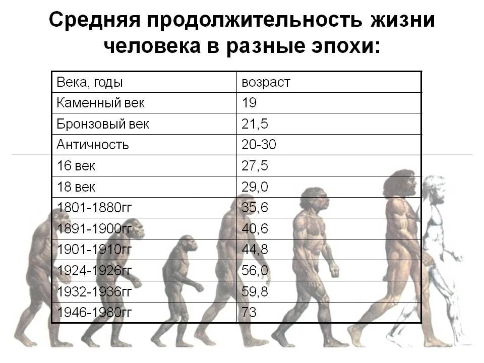 Какого года человек если ему 19. Продолжительность жизни человека. Средняя Продолжительность жизни человека. Средняя Продолжительность жизни человека в разные эпохи. Продолжительность жизни современного человека.