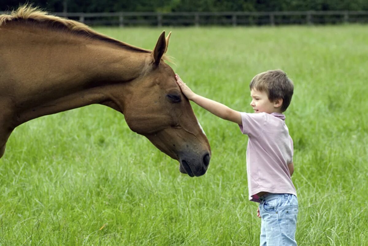Horse kids. Лошадь для детей. Фотосессия с лошадьми дети. Лошадь фото для детей. Лошади и их дети.