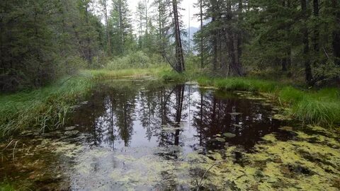 Река колыбель