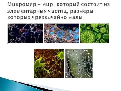 Макро и микромир 6 класс естествознание презентация