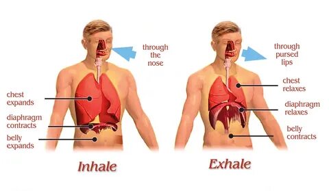 Stop breathing