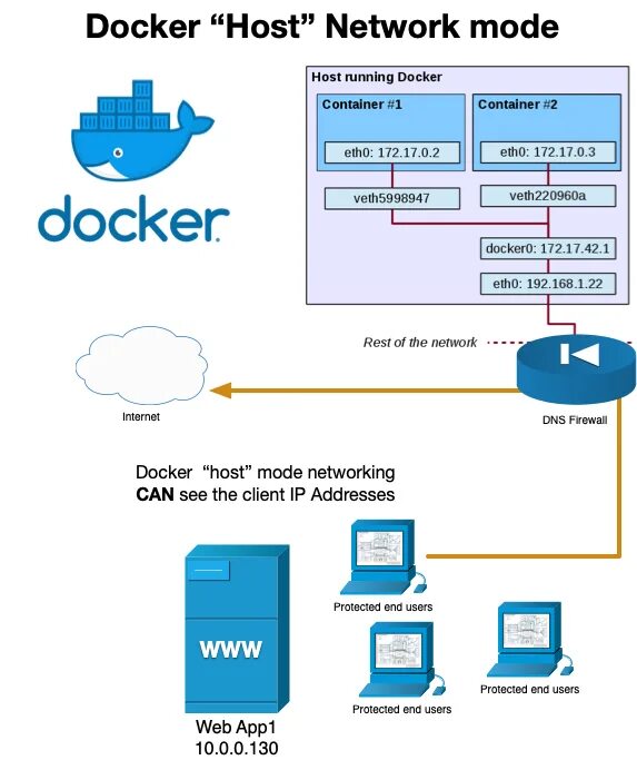 Hosting container. Сеть docker. Docker Network. Хост IP. Docker compose DNS.