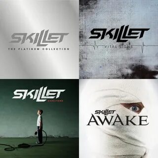 Skillet cover
