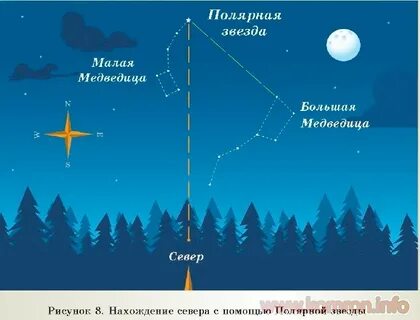 На какой высоте можно увидеть полярную звезду