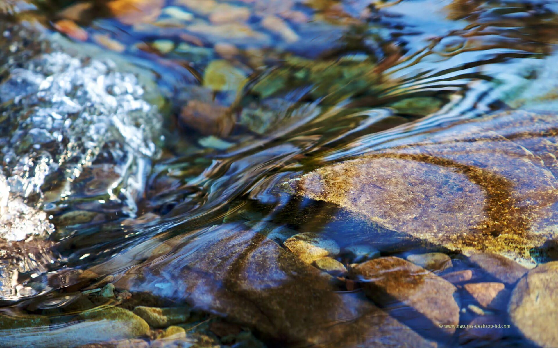 Ручей прозрачная вода. Вода река. Камни в воде. Камни в прозрачной воде.