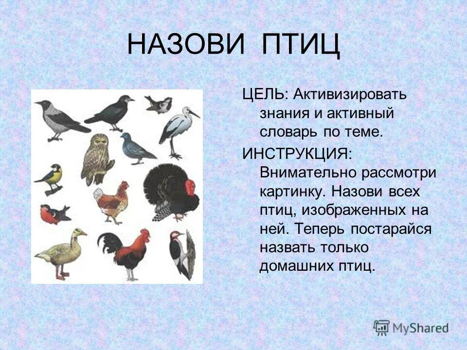 Домашние птицы для дошкольников. Назови домашних птиц. Тема птицы для дошкольников. Презентация домашние птицы.