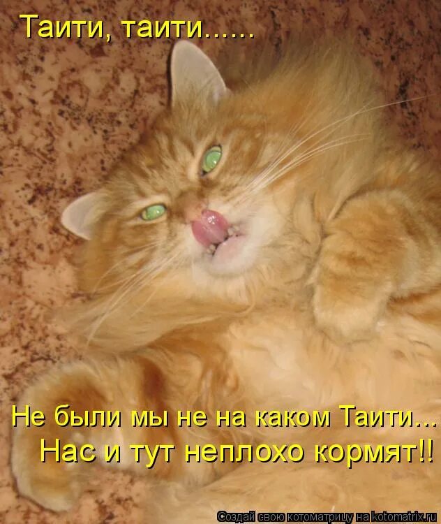 Попить пописать