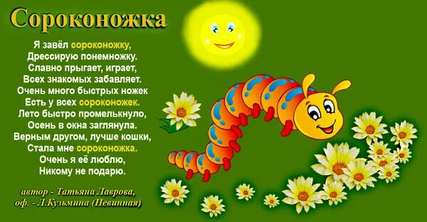 Как то раз сороконожку