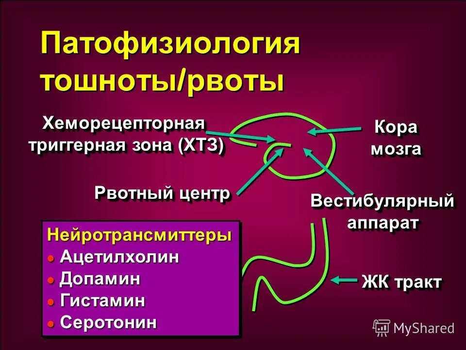 Механизм развития рвоты. Патогенез тошноты и рвоты. Механизм развития тошноты и рвоты. Патофизиология тошноты и рвоты.