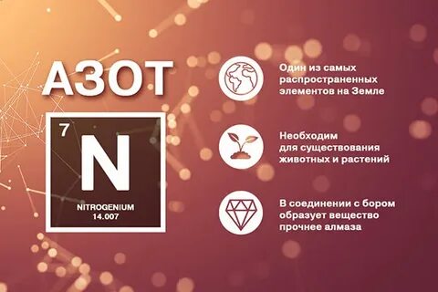 Азот сколько минус