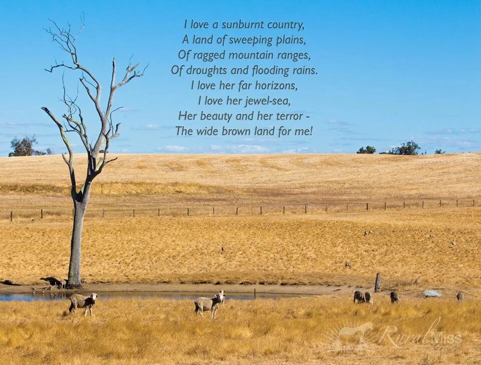 Dorothea Mackellar. My Country poem. My Country Land. A-Z of my Country. A year my country