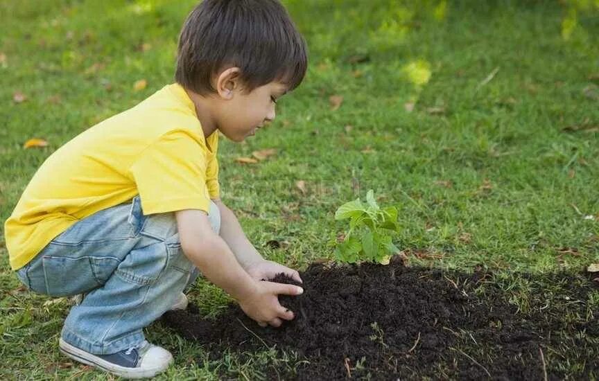 Planting boy