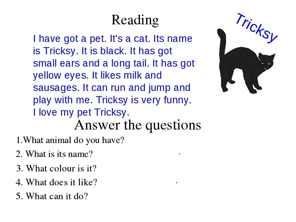 Questions about pets. Текст по английскому. Текст про кошку на английском. Текст на английском для чтения. My Pet на английском.