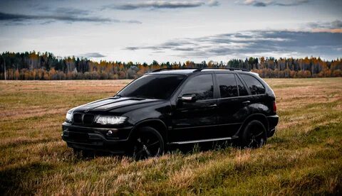 Скачай 53 8