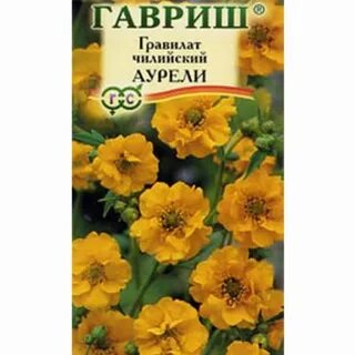 Гравилат чилийский семена
