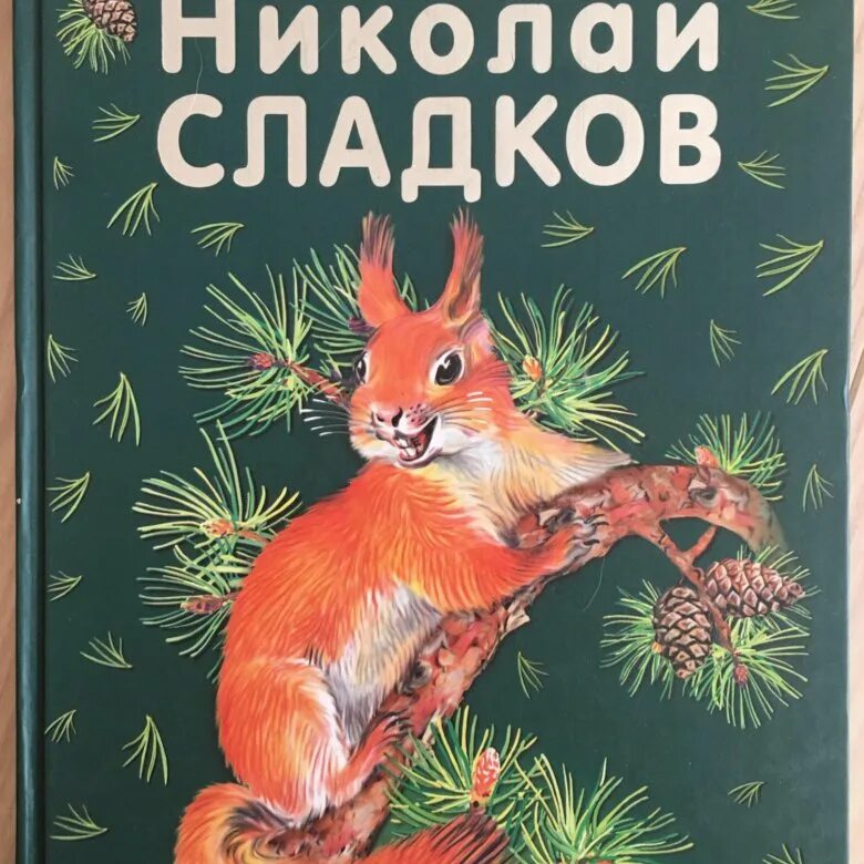 Сладков Лесные сказки книга. Сказки сладкова о животных