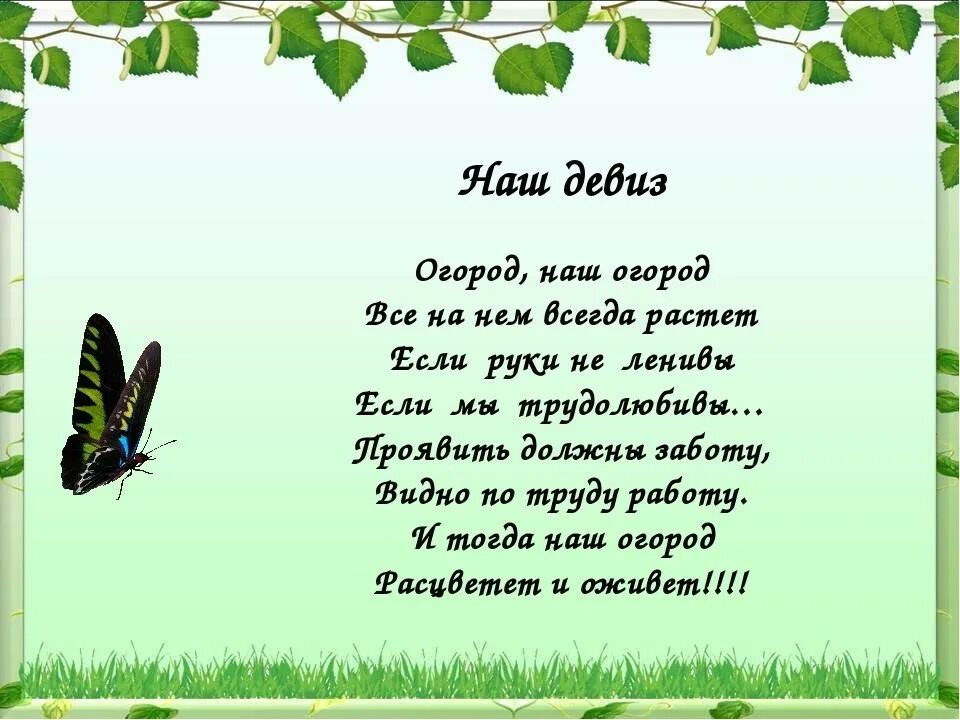стихи про огород для детей. стихотворение про огород. детские стишки про огород. огород стихи. огород на окне стихи для детей.