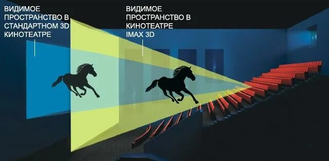 На всем видимом пространстве не было
