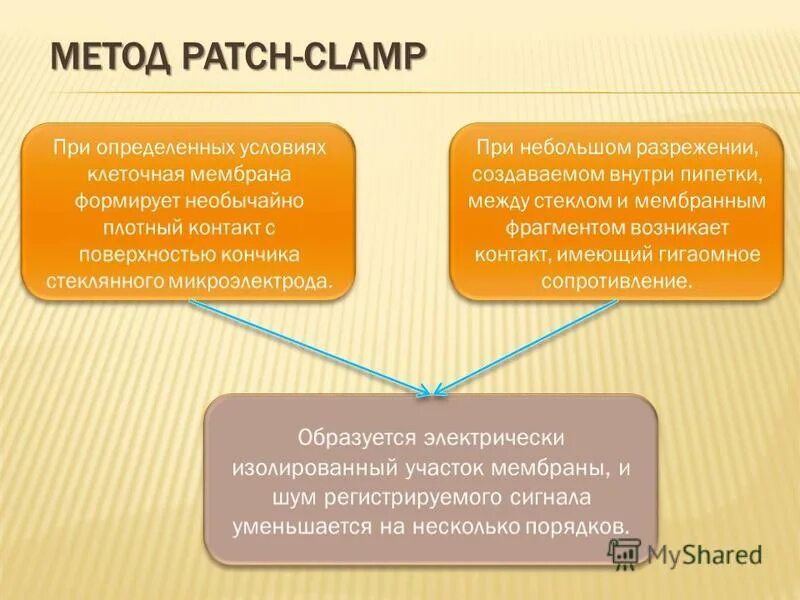 Метод patch. Метод patch. Patch clamp. Метод patch. Метод patch.